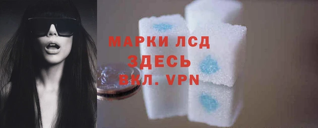 стафф Волоколамск