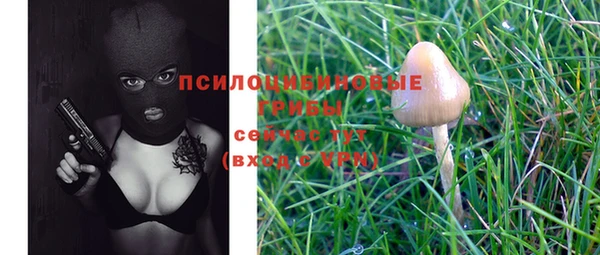 стафф Волоколамск