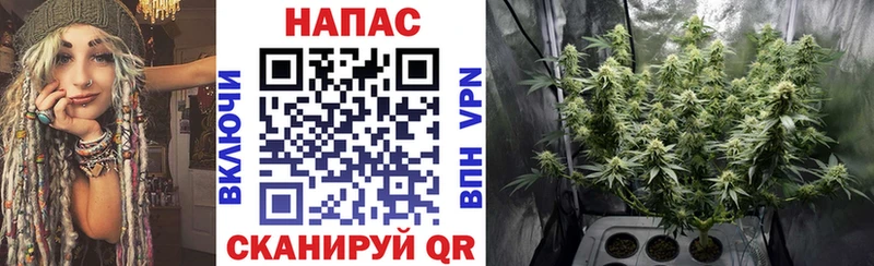 Купить закладки  Курлово  МАРИХУАНА AK-47 